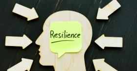 HR Under Pressure: Model and Mentor Resilience